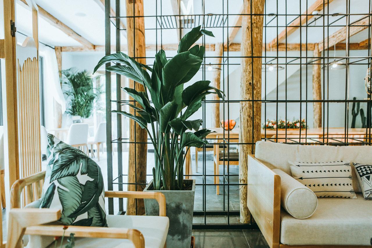 July Bamboo Hostel Deqing Екстер'єр фото